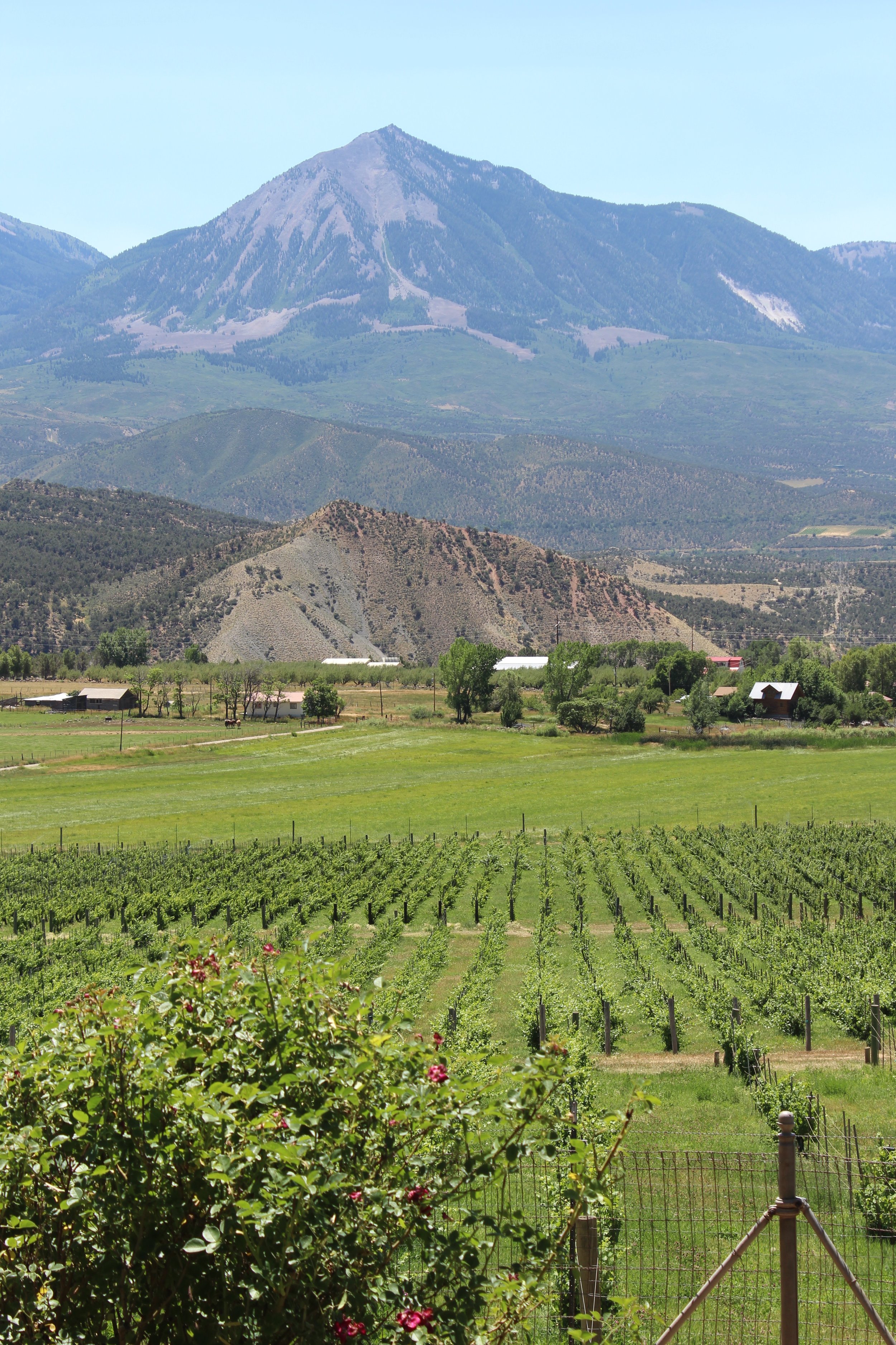 History of U.S. Agriculture Gallery Workshop