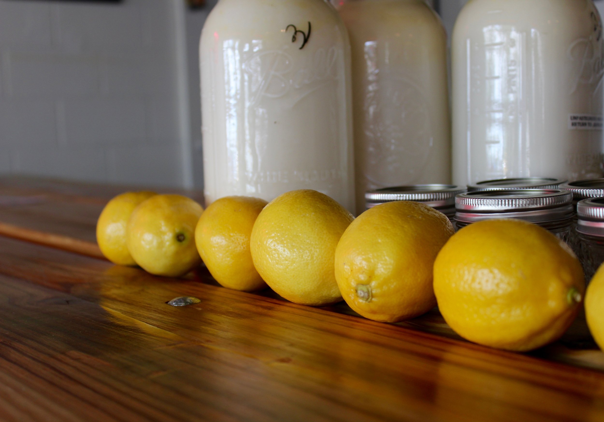 The Devoted CSA Summer Celebration